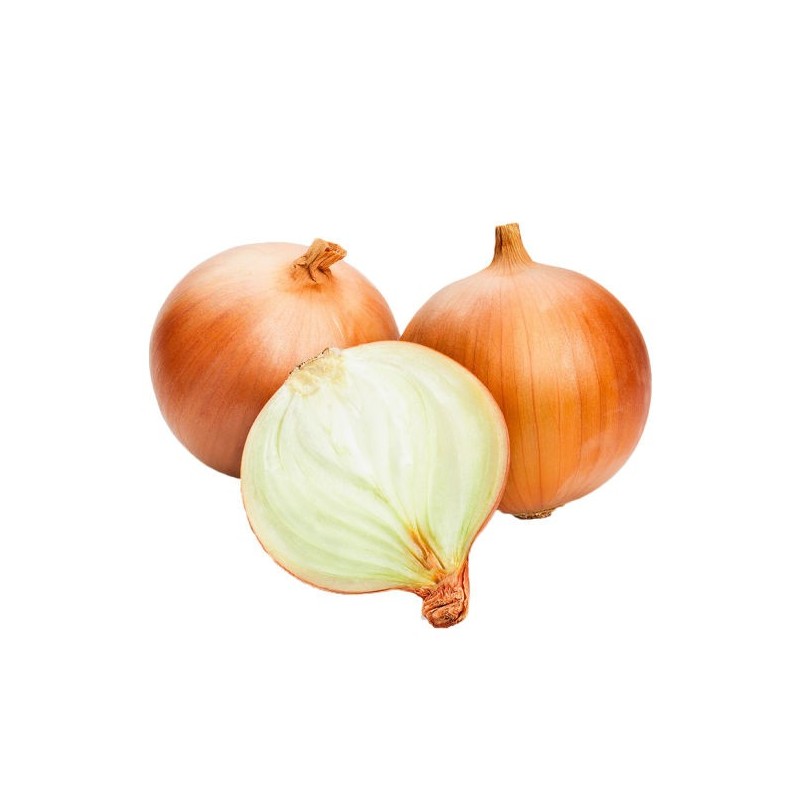 Коричневый лук в мешках 1 кг